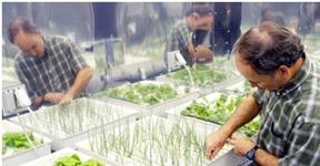 AquaPonics: Latest Environmental and Climate Friendly Way of Gardening