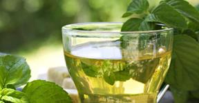 Lemon Grass Tea For Weight Loss By Dr.Bilquis