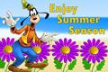 Enjoy Summer Season