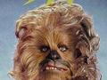 Chewbacca Hair 