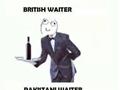 British and Pakistani Waiter