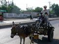 Donkey Moto Cart