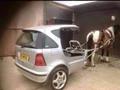 Horse Power Car