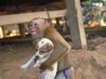 Monkey n Dog