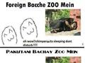 Difference Between Foreign And Pakistani Bacha