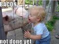 funny pictures bacon