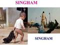this is real singham