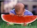 Baby eat watermillion