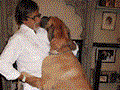 Amitabh Bachan Meets A Huge Dog