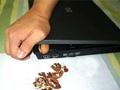 Nut Breaking Laptop