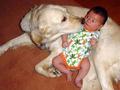 Dog and Kids