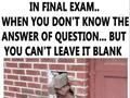 During Final Exam