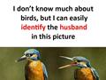 Identify Husband
