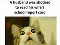 Wife''s Report Card