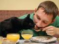 funny people with cat