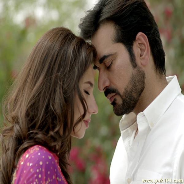 pakistani movie bin roye full movie download