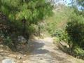 Hiking Trail Pir Sohawa to Lohe Dandi, Pir Sohawa, Islamabad