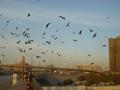 flyover near karachi city station