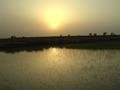 Sun Set in Our Village Near Lahore