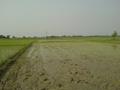 Green Felds Lahore