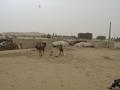Life at district Noushki Balochistan - click by me
