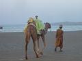 Man and his Camel at Gadani Beach