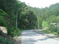 Road to Shimla Hills, Abbottabad