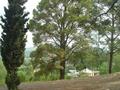 Shimla Hills Abbottabad