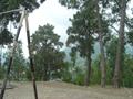 Shimla Hills, Abbottabad, Khyber Pakhtunkhwa, Pakistan