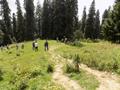 Mushkpuri Hiking Track, Nathiagali, KPK