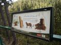 Informative Signboard, Walking Track, Ayubia National Park