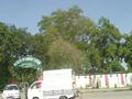Govt College for Elementary Teachers, Gakhar, Gujranwala