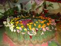Flower Exhibition in Wah on 21-04-2013