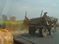 Cattle Driven Vehicle, Kamalia