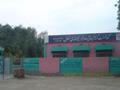 Govt. Girls Community Higher Secondary School, Vehari
