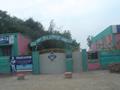 Govt. Girls Elementary School, Vehari