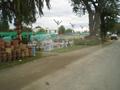 On Road Nursery, Karakoram Highway, Haripur