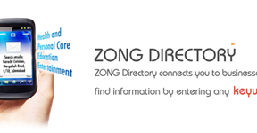ZONG Directory: Find Everything Easily
