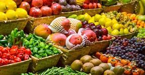 Vegetables are Beneficial for Health and Environment
