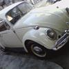 1966 Volkswagen Beetle for sale