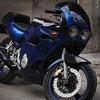 Sports bike Yamaha FZR 250cc For Sale