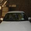 Indus Corolla XE For Sale