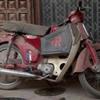 Honda Fifty For Sale 