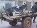 Donkey Rides Cart