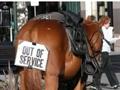 Horse Out Of Service
