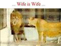 WIFE is wife