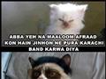 Funny cats dialogue
