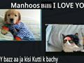 Funny Billi & Kutta 