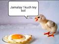 funny chick