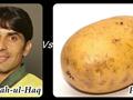Mibah ul haq vs Potato